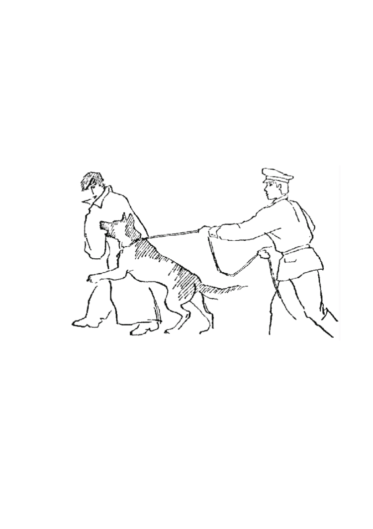 Как начать дрессировать щенка