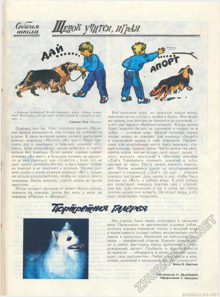 Базовые команды для собак