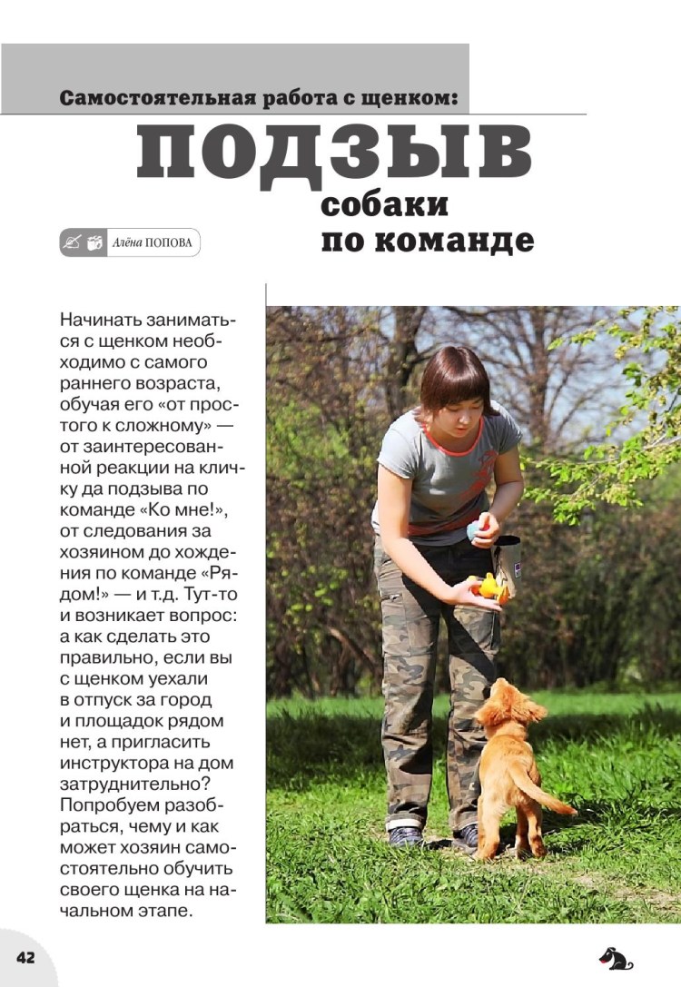 Дрессировка собак