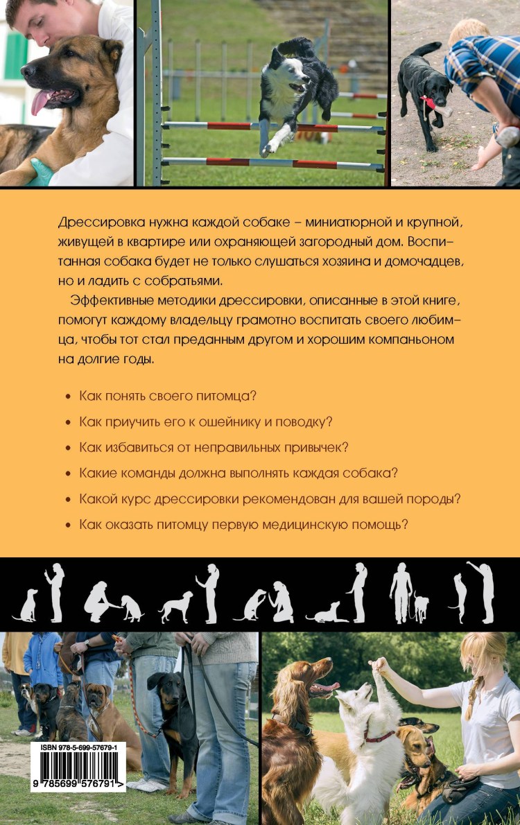 Трюковая дрессировка