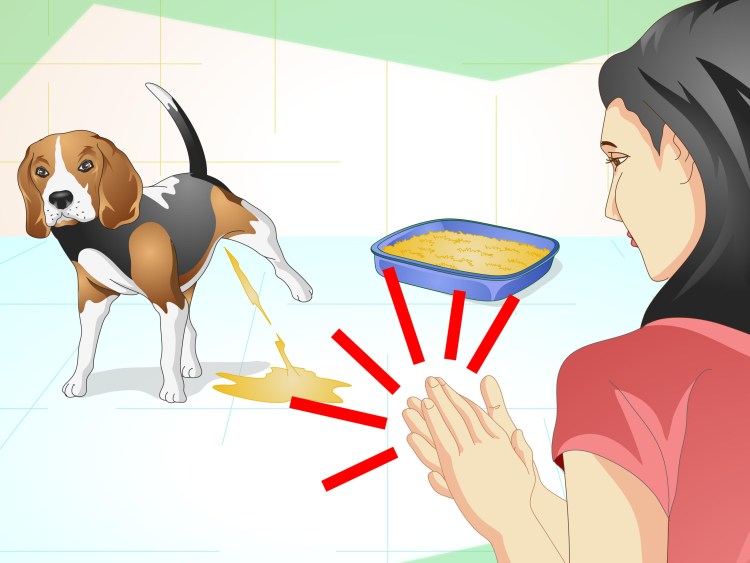 Немецкая овчарка ОКД