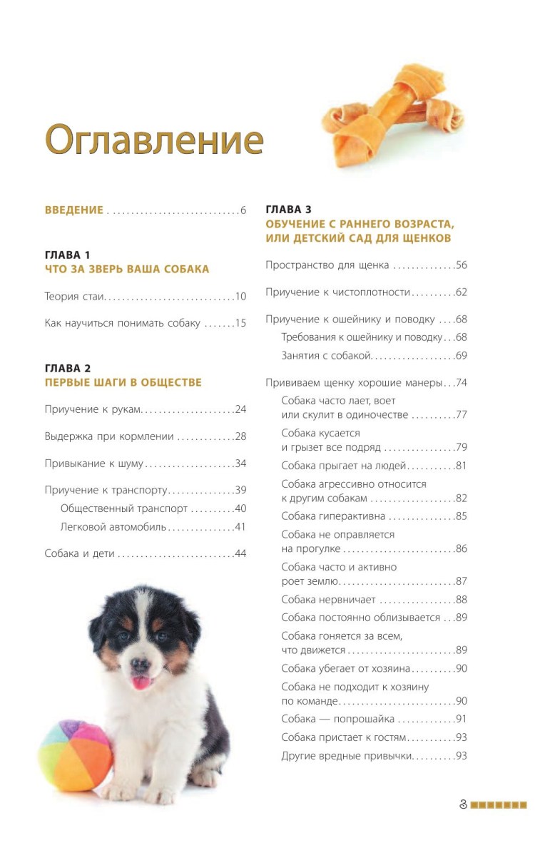 Легкие упражнения для собак