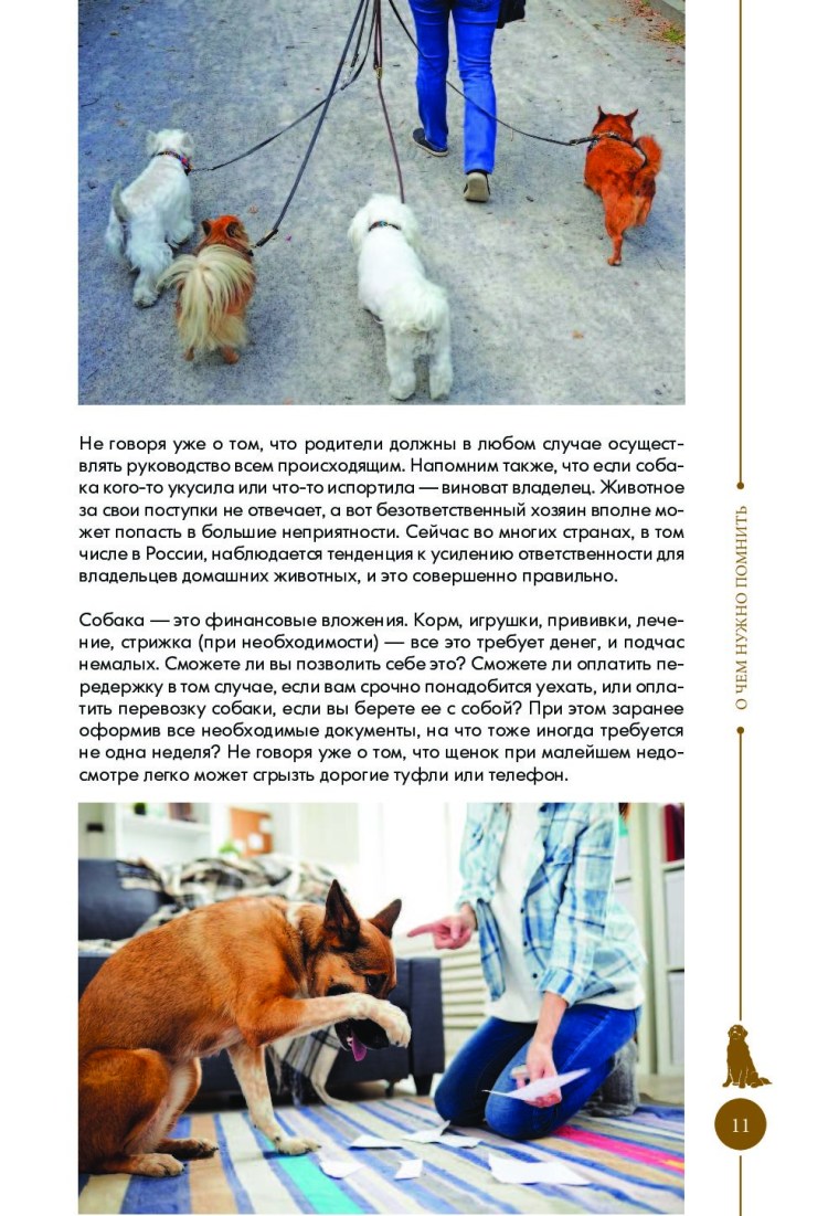 Как обучить собаку команде служить