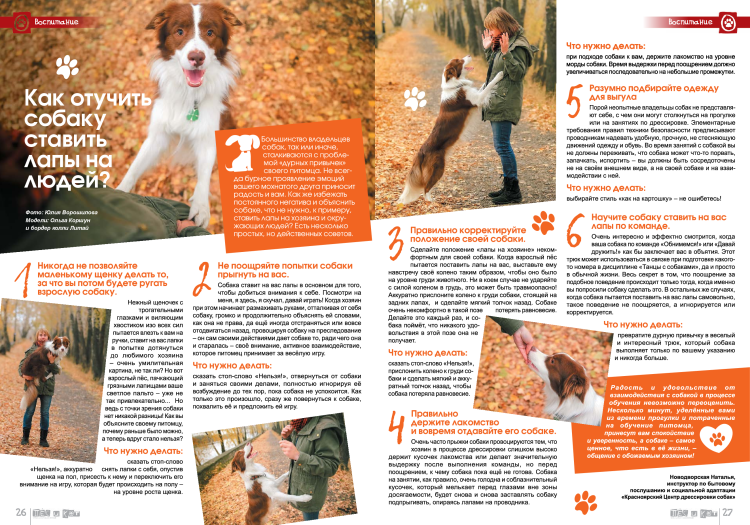 Советы собачникам в картинках
