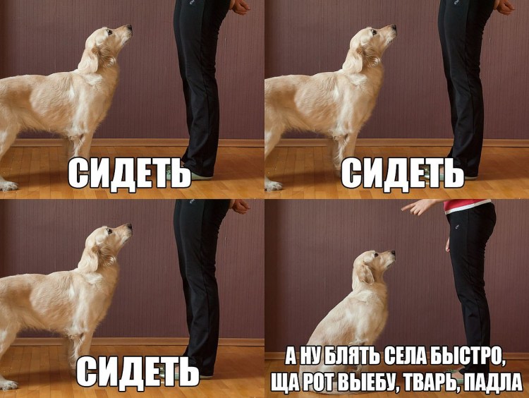 Собачьи трюки арты