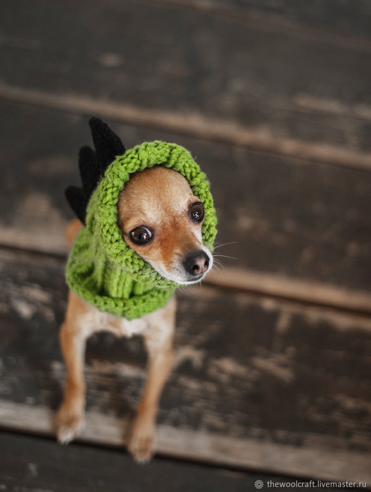 Свитерок для чихуахуа
