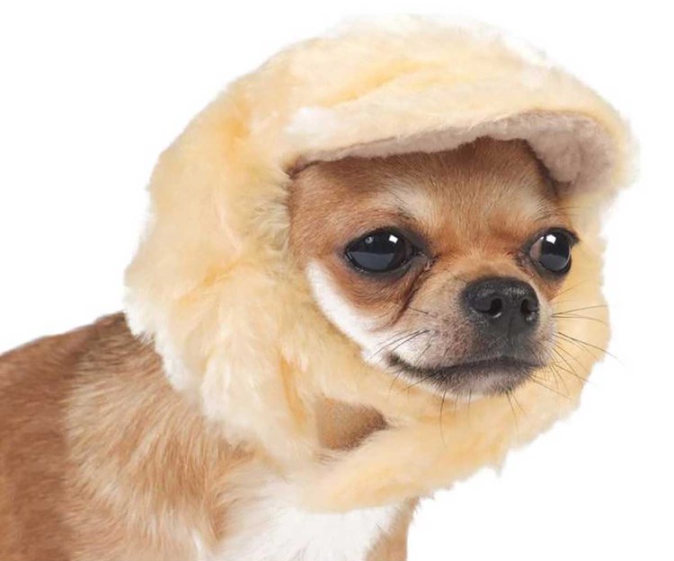 Шапка для собак Тузик 9275