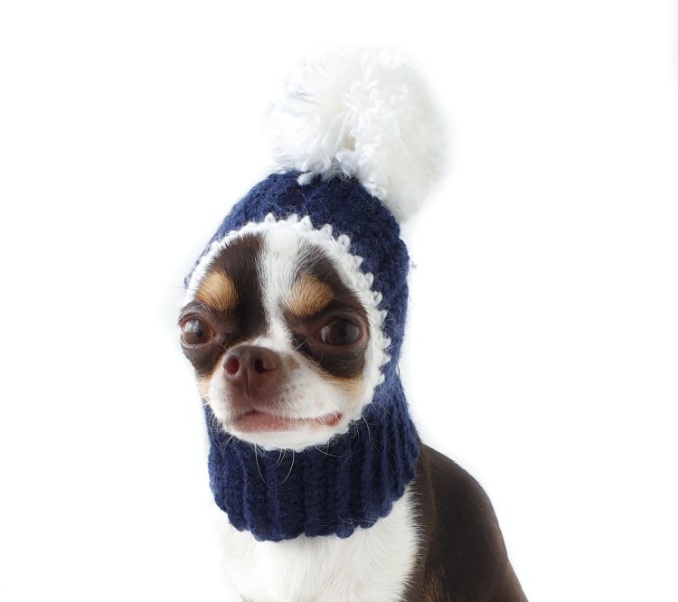 Щенок в шапке