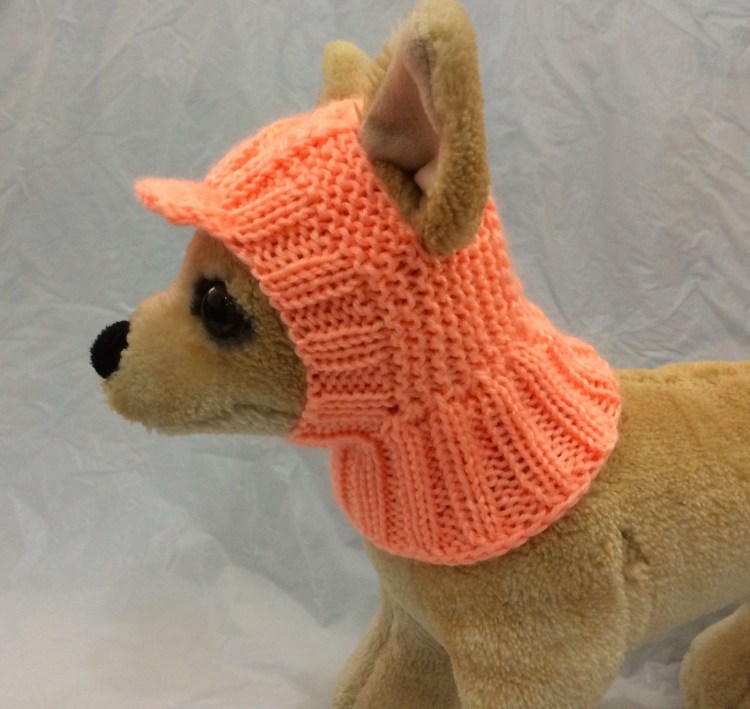Вязаная шапка для собаки