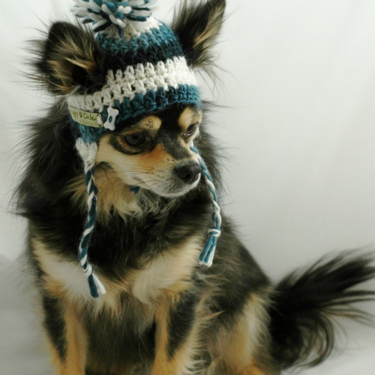 Вязаная шапка для собаки
