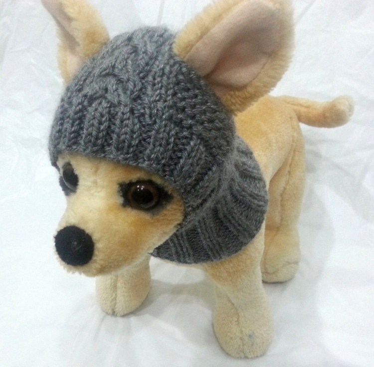 Бейсболка для собак