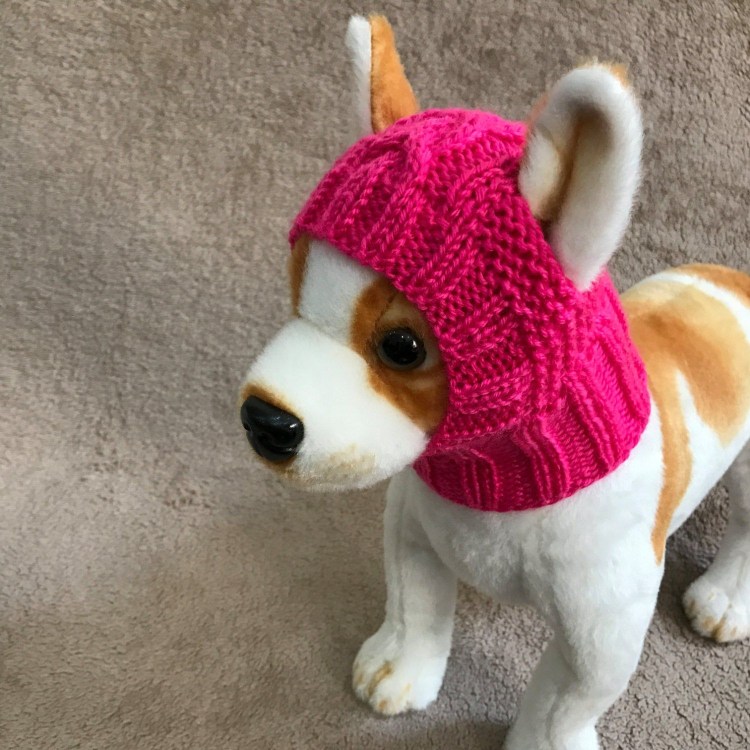 Вязаная шапка для собаки
