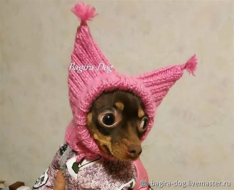 Шапка шлем для собаки