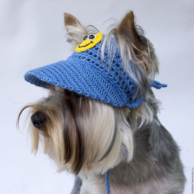 Летний костюм для собаки