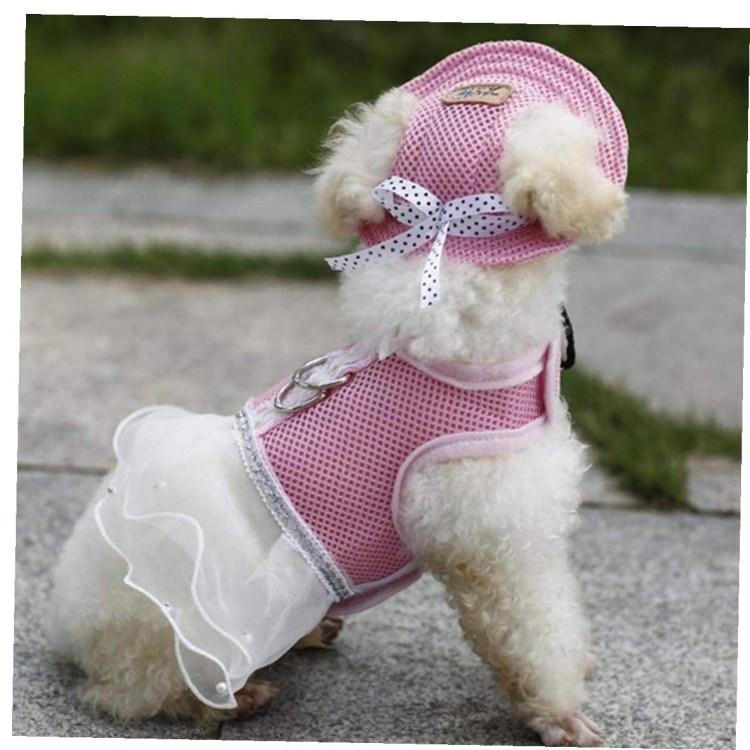 Шапка для чихуахуа крючком