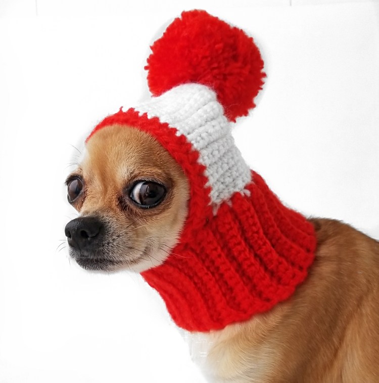 Вязаная одежда для собак чихуахуа