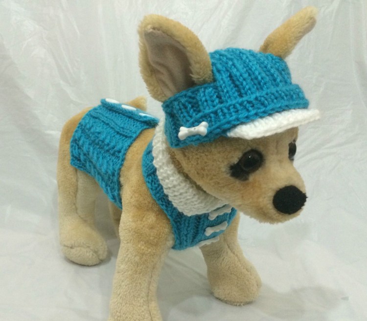 Панамка для чихуахуа