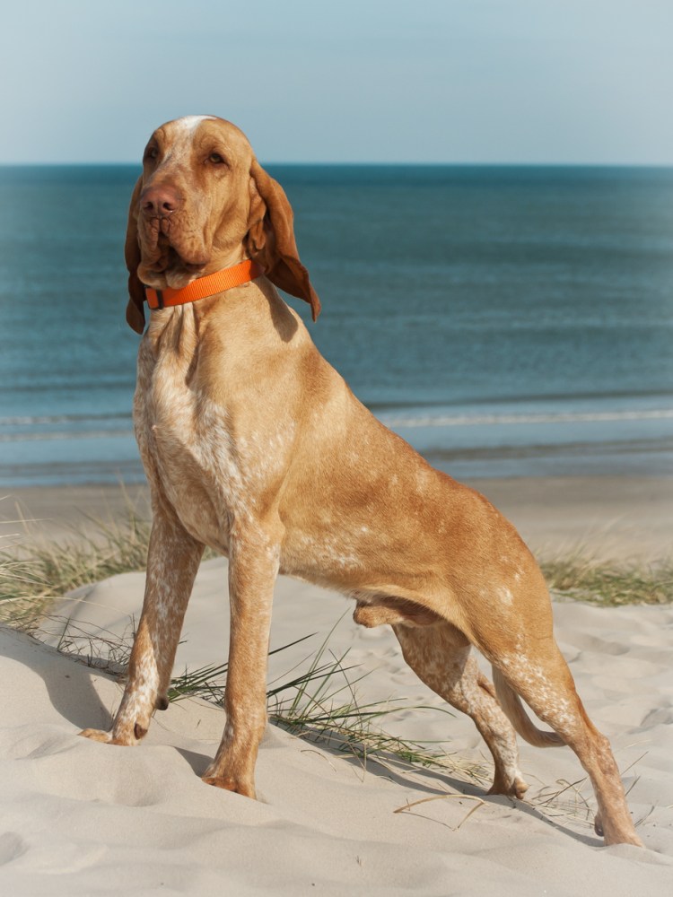 Barbara Keith художник