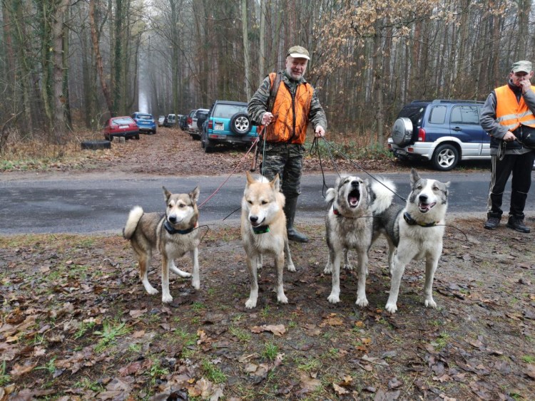Питомник ЗСЛ Патриот