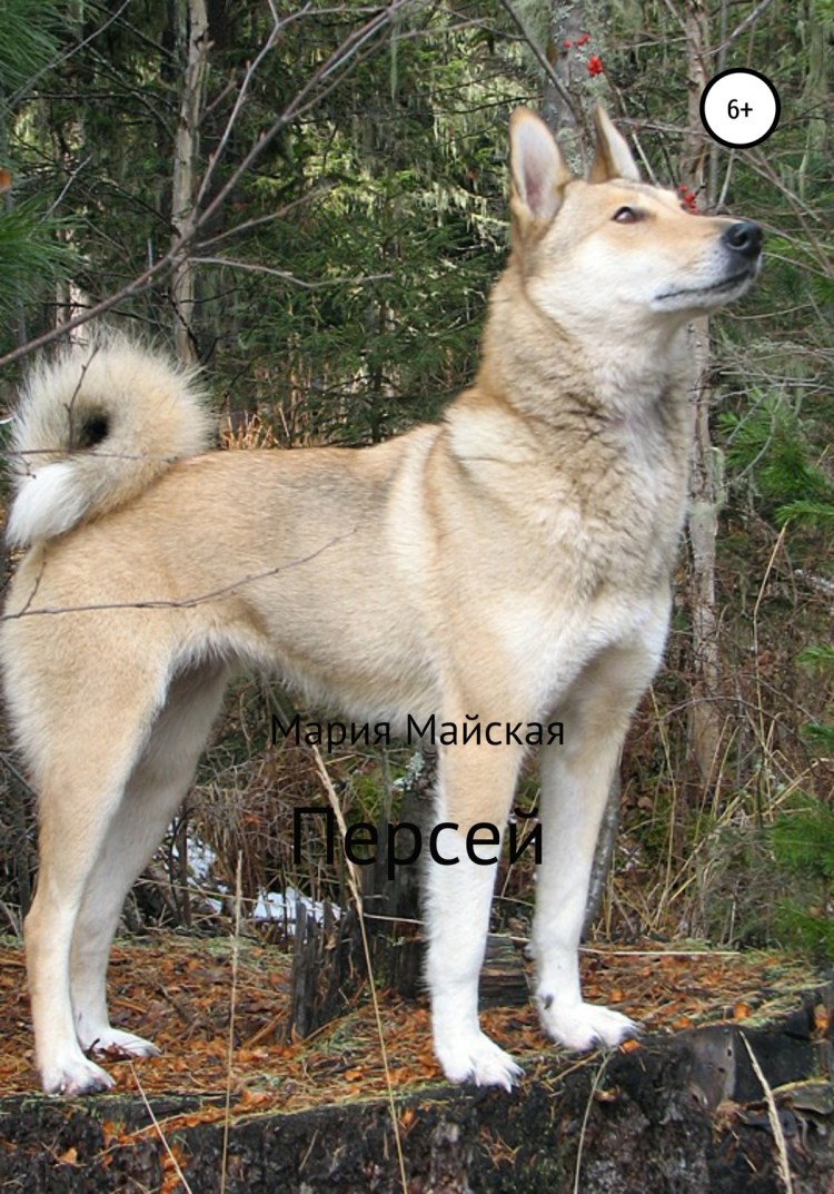 Западносибирская лайка