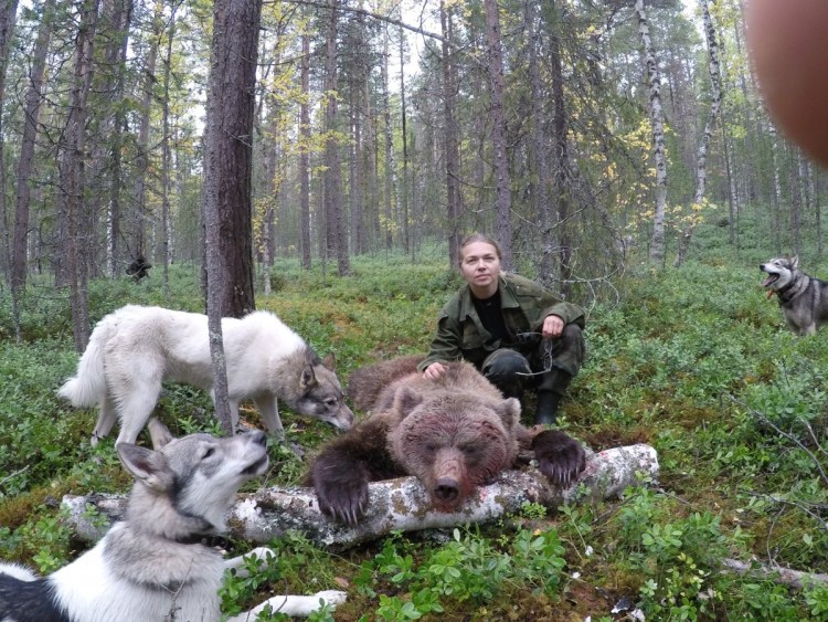 Охота с лайками Андрей Беляев