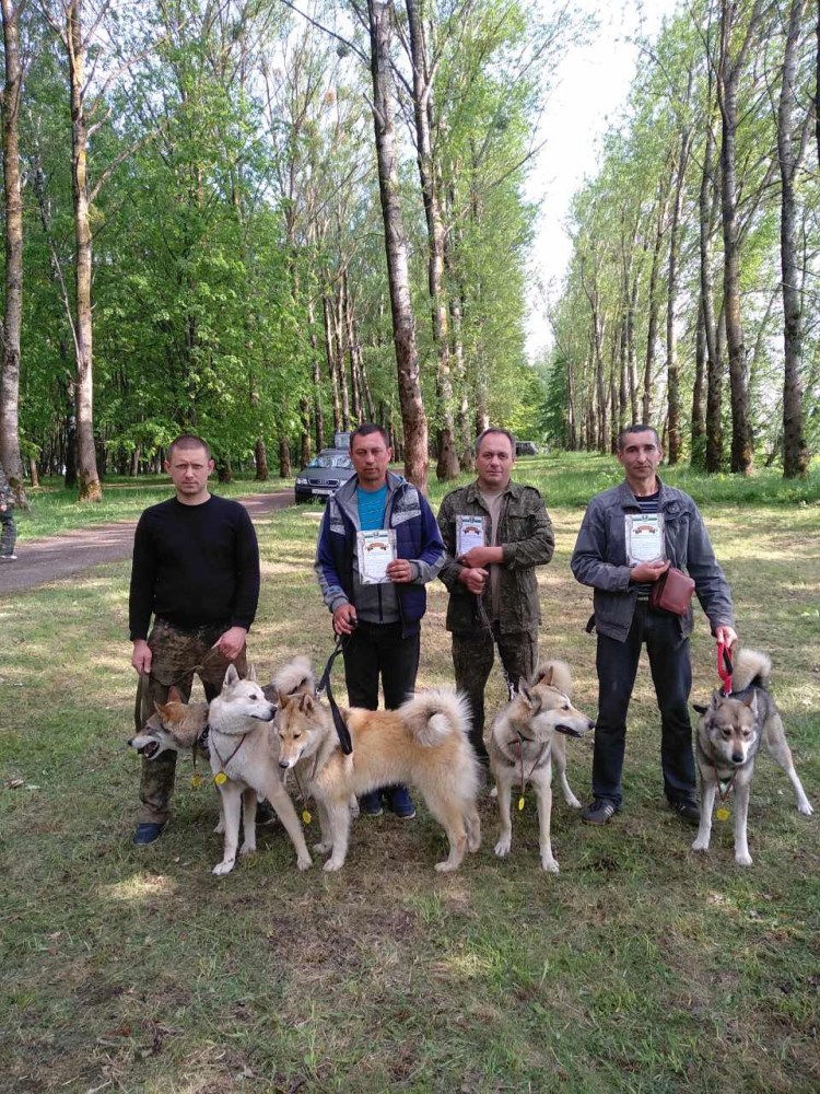 Охотничье собаководство