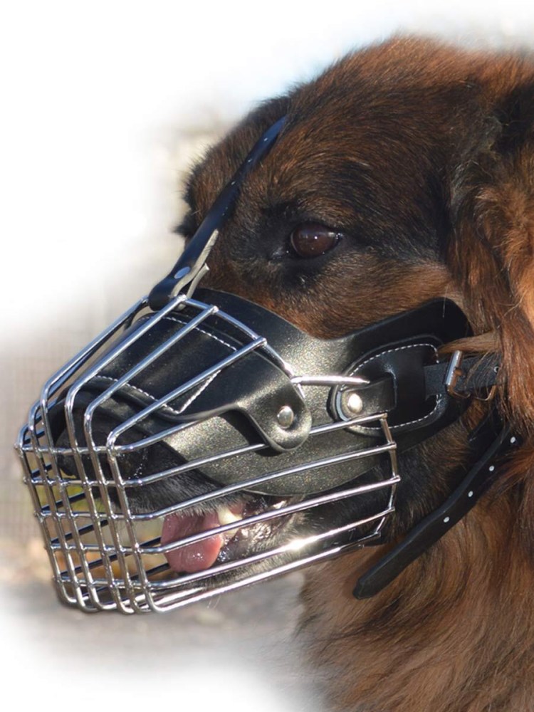 Намордник маска Майло