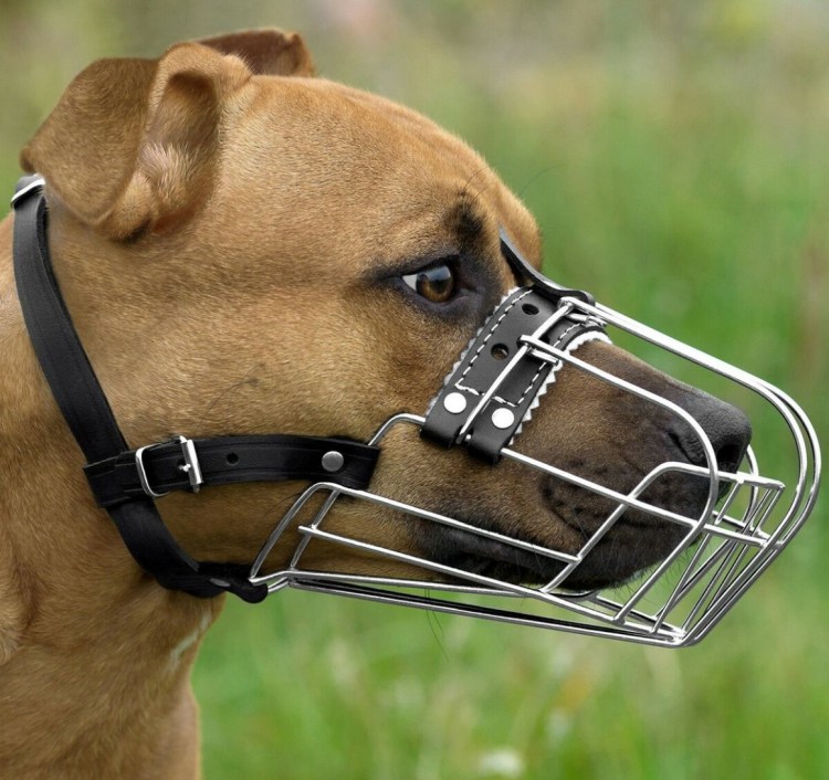 Намордник Баскервиль ультра маззл