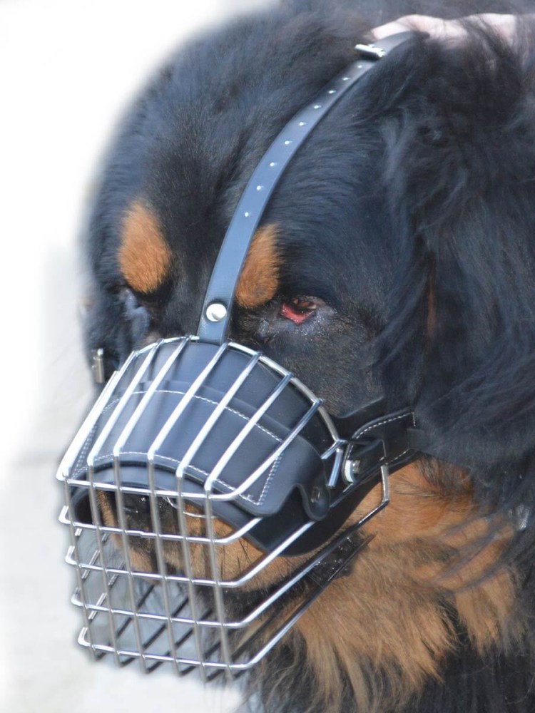 Намордник маска Майло