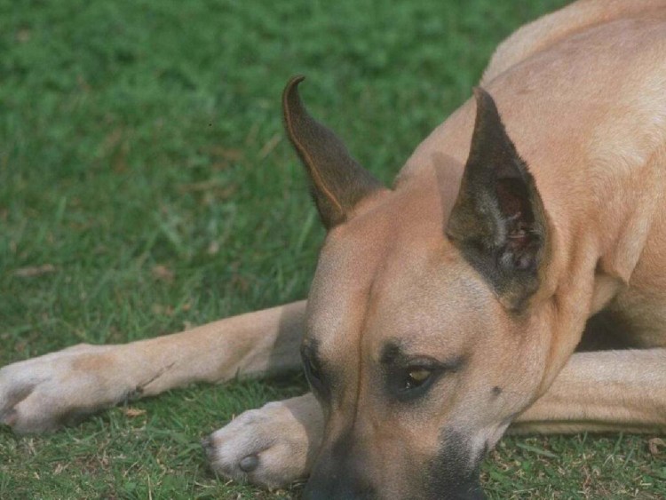 Ким Бейсингер сейчас 2021