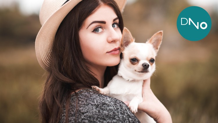 Косоглазие у чихуахуа