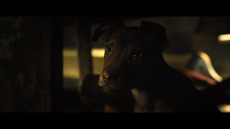 Дорога домой фильм 2019