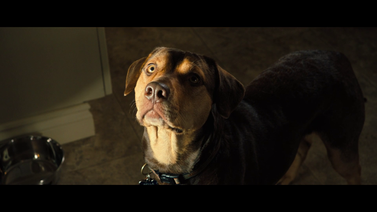 Путь домой фильм 2020