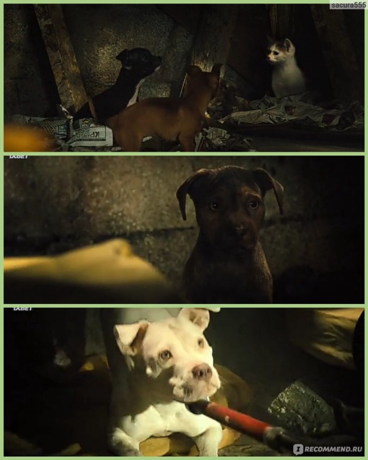 Путь домой фильм 2019