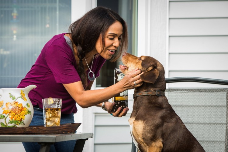 Путь домой фильм про собаку