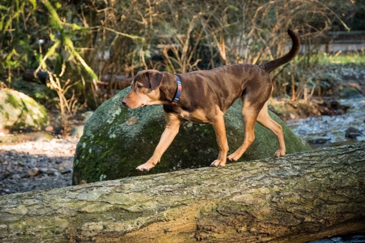 Дорога домой фильм 2019