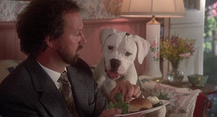 Фильм путь домой 2019 про собаку