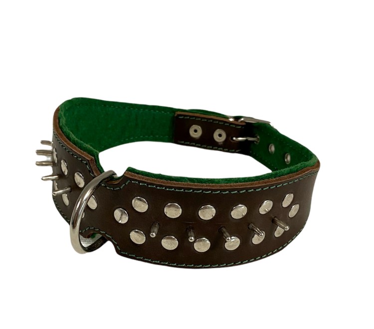 Гладкий шарпей собака