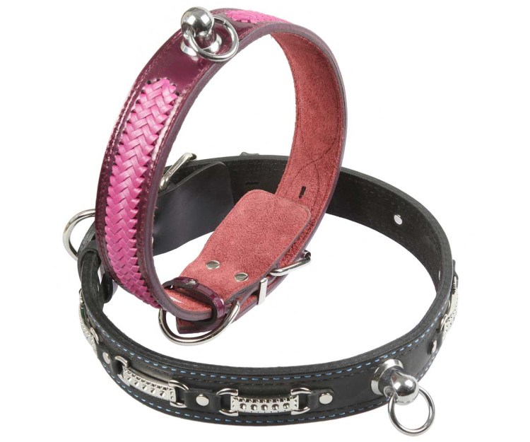 Намордник для аргентинского дога