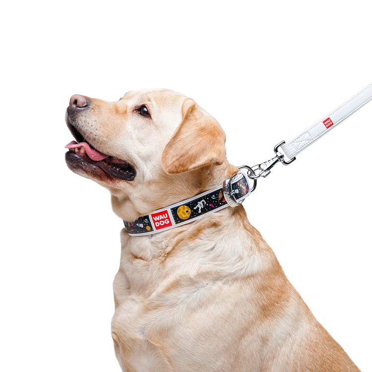 Шлейка "француз" черная