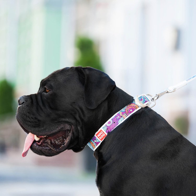 Dogfit игрушки