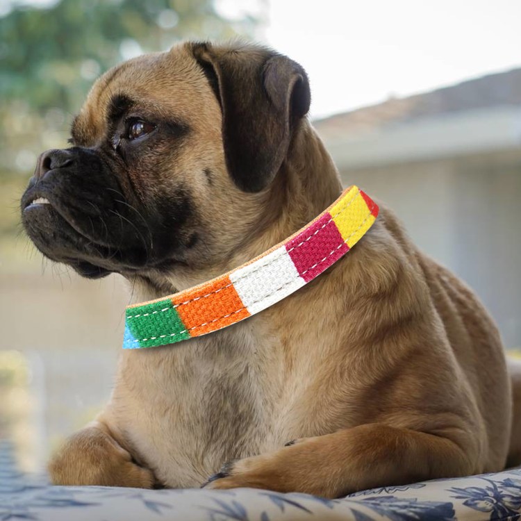 Миниатюрный шарпей