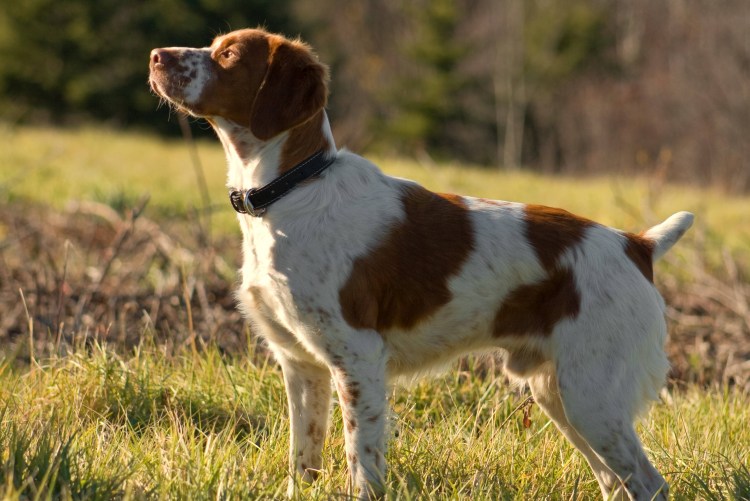 Алла Михеева и шнапс