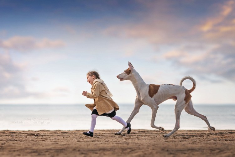 Поденко ибиценко Пинто