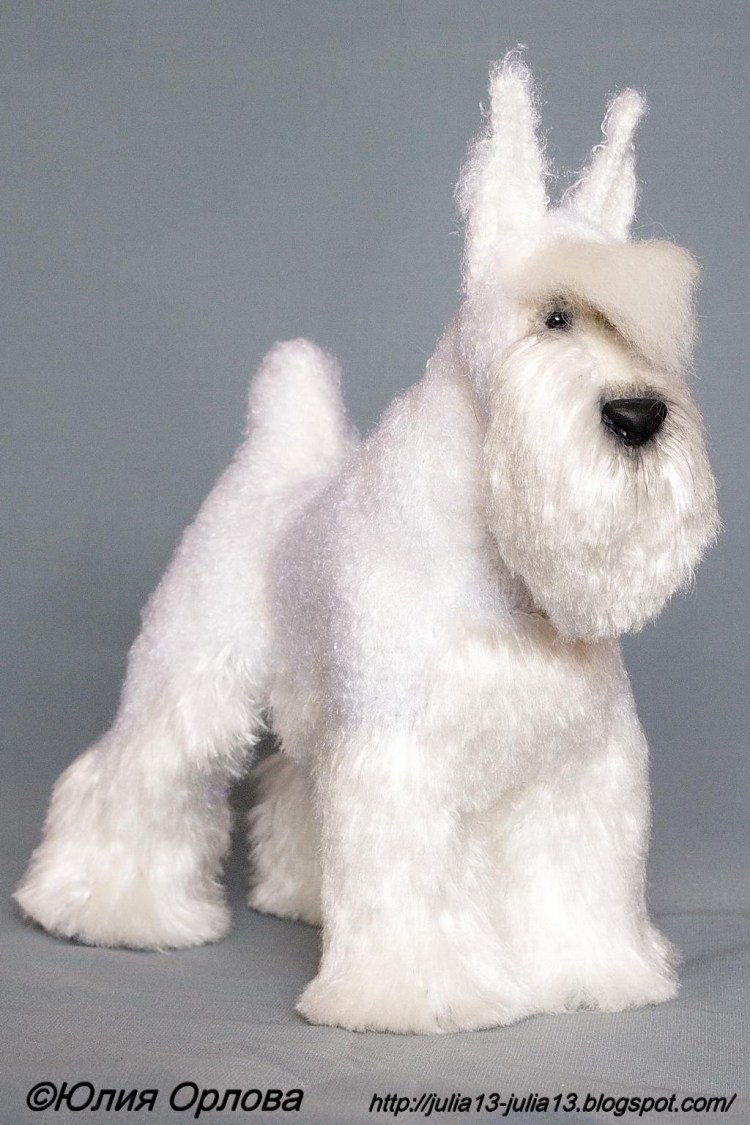 Белый Цвергшнауцер отзывы