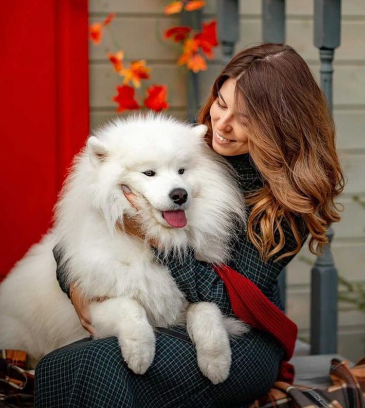 Порода собаки у Матранга