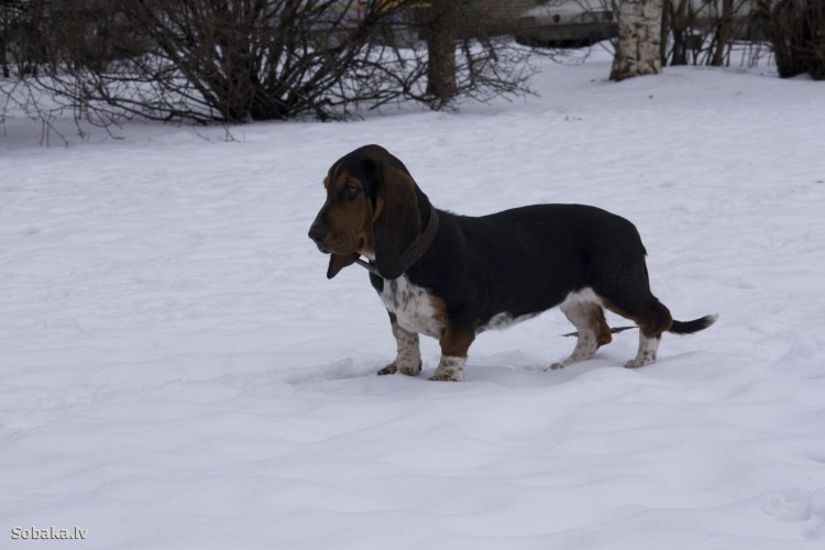 Михаил Литвин 2021