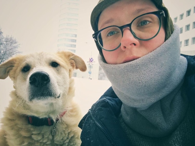 Кане Корсо даёт лапу