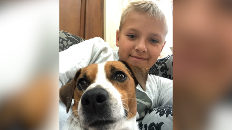 Приют породистых собак Владимирской обл