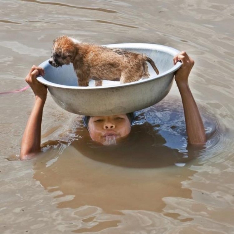 Помывка собаки